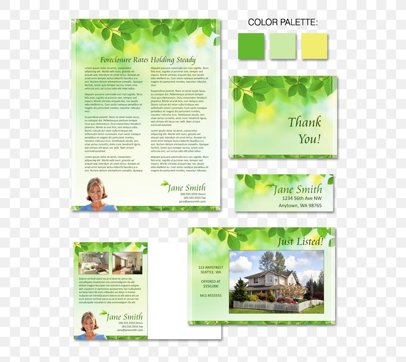 Advertising Tree Herbalism Brochure Font, PNG, 575x731px, Advertising, Brand, Brochure, Grass, Herbalism Download Free