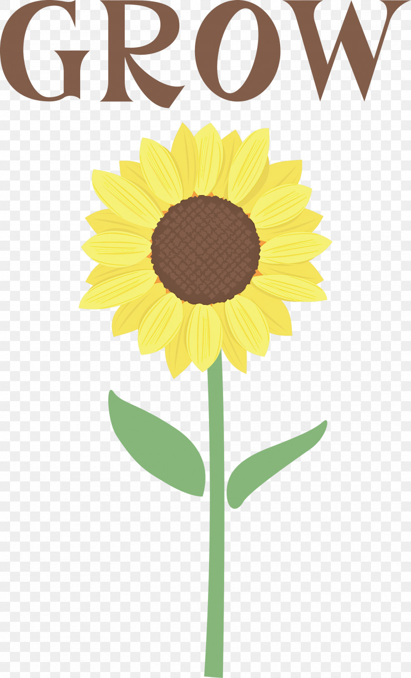 GROW Flower, PNG, 1819x3000px, Grow, Asterales, Cut Flowers, Daisy Family, Flower Download Free