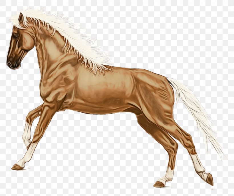 Horse Cartoon, PNG, 1280x1072px, Watercolor, Animal Figure, Bit, Bridle, Drawing Download Free