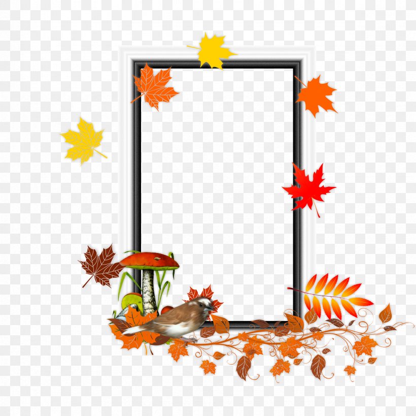 Picture Frames Drawing Photography Leaf, PNG, 2362x2362px, Picture Frames, Animation, Bbcode, Blog, Branch Download Free