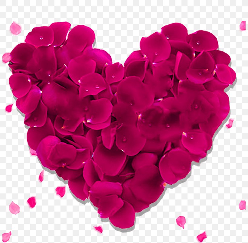 Valentine's Day Heart Vector Graphics Image Gift, PNG, 804x804px, Valentines Day, Flower, Flower Bouquet, Flowering Plant, Garden Roses Download Free