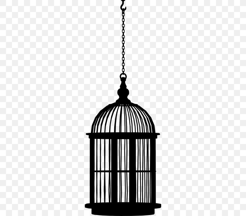 A Doll's House Birdcage Birdcage Clip Art, PNG, 360x720px, Bird, Animal, Birdcage, Black And White, Cage Download Free