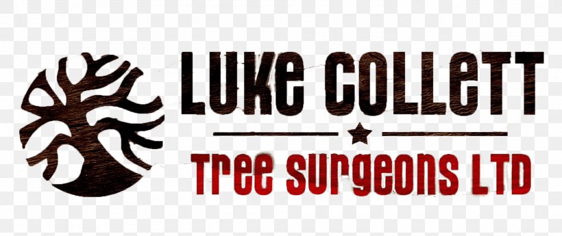 Luke Collett Tree Surgeons Ltd Tree Stump Arborist Stump Grinder, PNG, 1920x810px, Tree Stump, Arborist, Brand, Company, Consultant Download Free