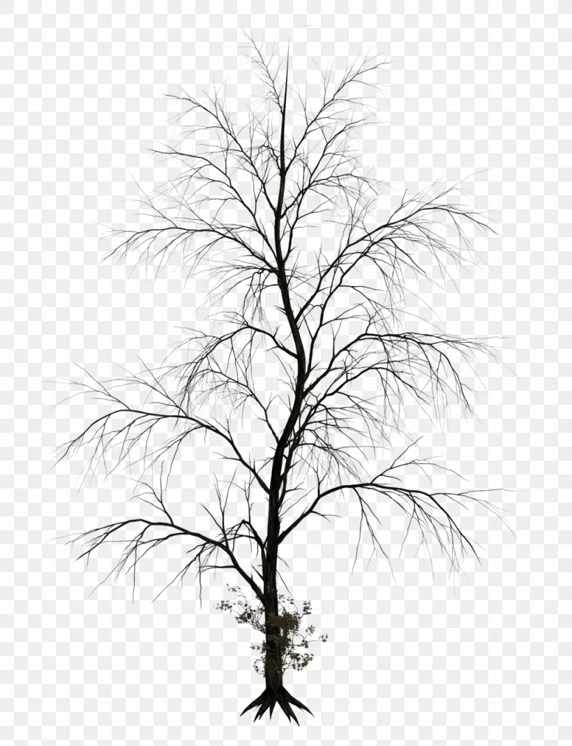 Tree Drawing Branch Clip Art, PNG, 1024x1335px, Tree, Alpha Compositing, Arborist, Art, Black And White Download Free
