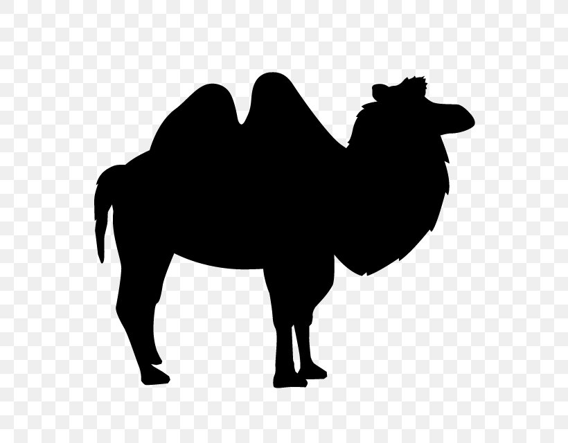 Animal Silhouettes Art Clip Art, PNG, 640x640px, Animal Silhouettes, Arabian Camel, Art, Beef Cattle, Black And White Download Free