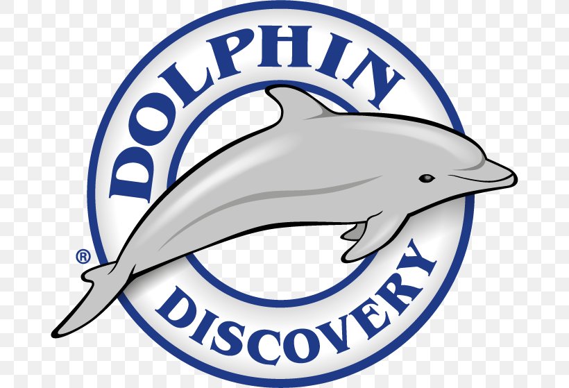 Dolphin Discovery Costa Maya Isla Mujeres Playa Del Carmen Mahahual, PNG, 674x559px, Isla Mujeres, Area, Brand, Dolphin, Dolphin Discovery Download Free