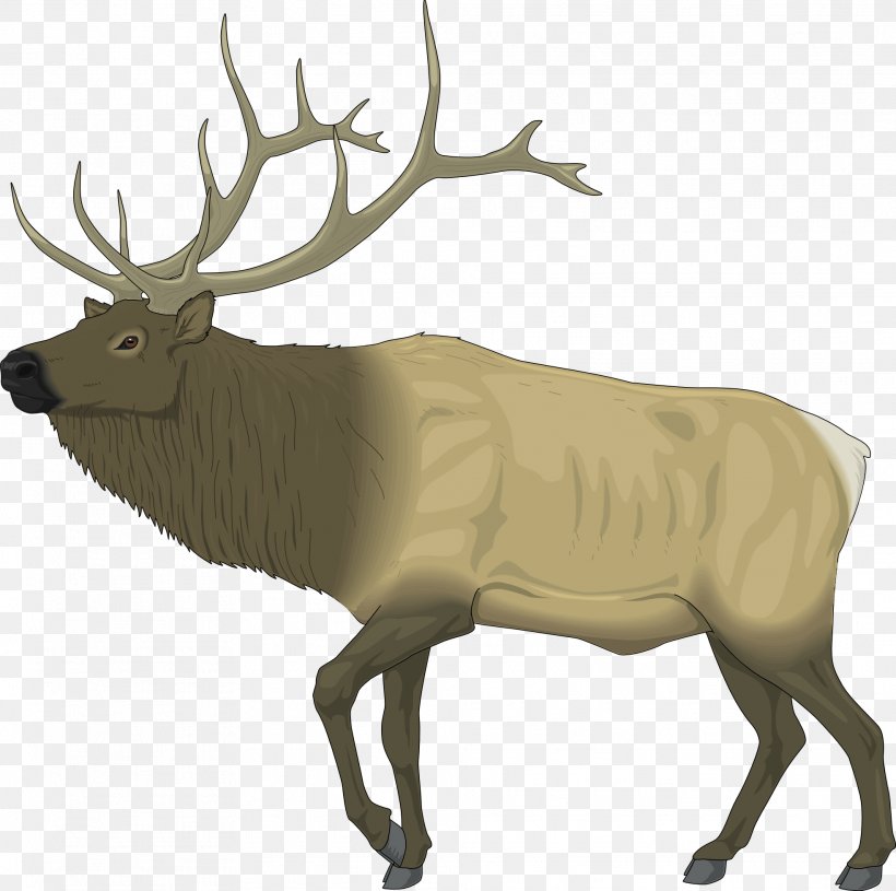 Elk Deer Moose Clip Art, PNG, 1969x1957px, Elk, Antler, Cattle Like Mammal, Deer, Fauna Download Free