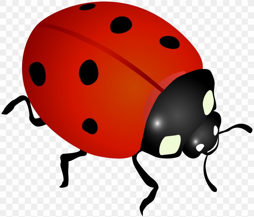 Ladybird Desktop Wallpaper Clip Art, PNG, 8000x6865px, Ladybird, Arthropod, Beetle, Blog, Cartoon Download Free