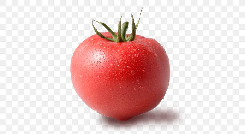Tomato Food Hot Dog リノ Potato, PNG, 600x450px, Tomato, Apple, Bush Tomato, Diet Food, Eggplant Download Free