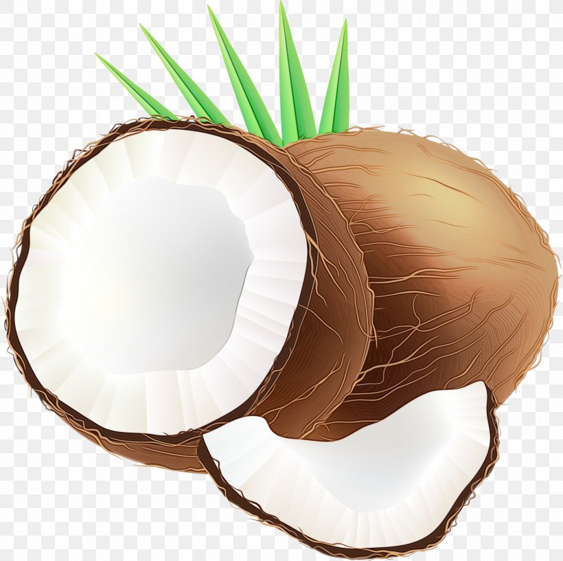 Web Design, PNG, 1966x1960px, Coconut Water, Coconut, Email, Plant, Web Design Download Free