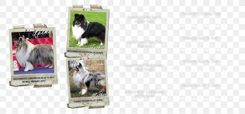 Dog Breed Advertising Brand, PNG, 1260x586px, Dog Breed, Advertising, Brand, Breed, Dog Download Free