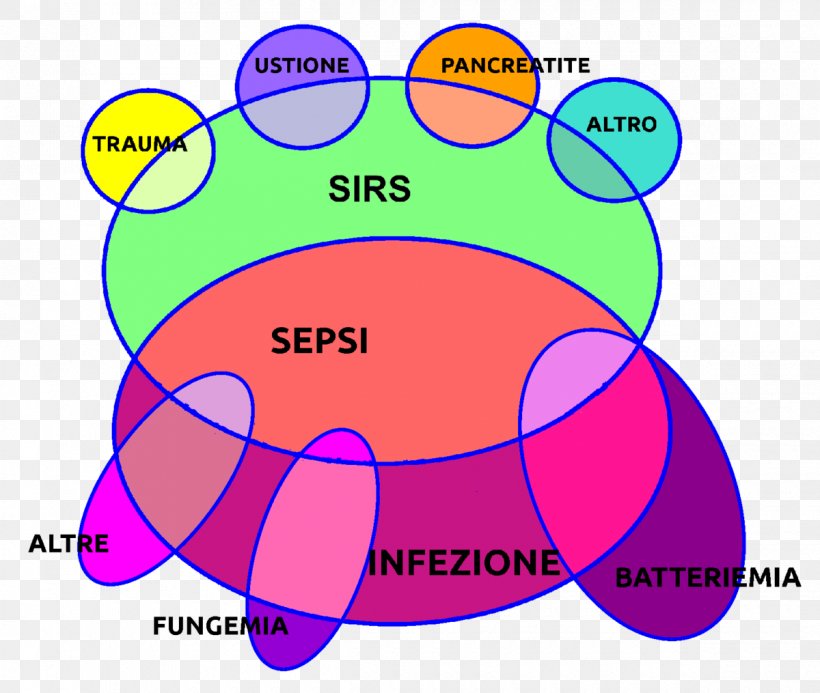 Systemic Inflammatory Response Syndrome Sepsis Infection Bacteremia Disease, PNG, 1200x1015px, Sepsis, Area, Bacteremia, Burn, Disease Download Free
