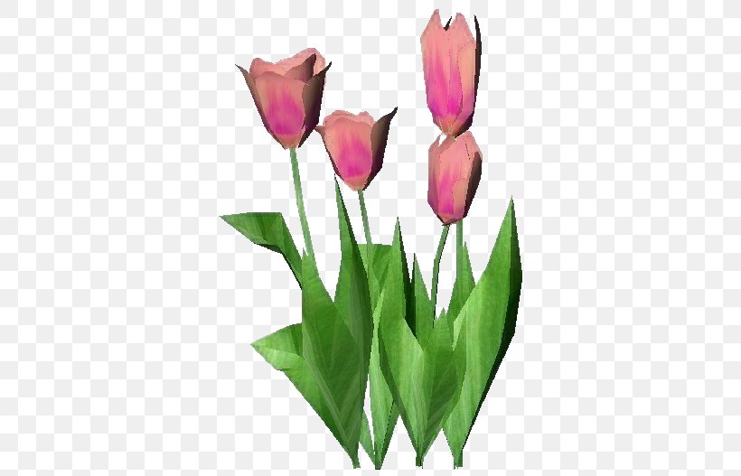 Tulip Plant Computer Software Cut Flowers, PNG, 750x527px, Tulip, Architectural Engineering, Bud, Computer Software, Cut Flowers Download Free