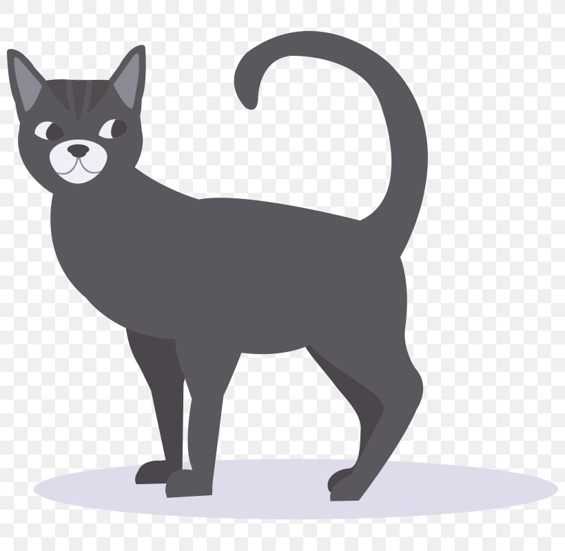 Whiskers Korat Kitten Black Cat Domestic Short-haired Cat, PNG, 800x800px, Whiskers, Animal, Black, Black And White, Black Cat Download Free