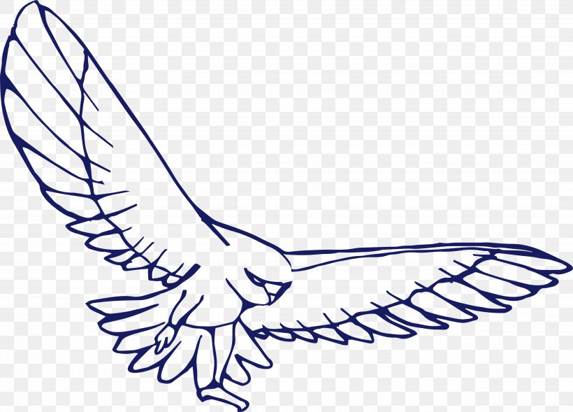Bird Drawing Eagle, PNG, 3677x2643px, Bird, Area, Arm, Art, Beak Download Free