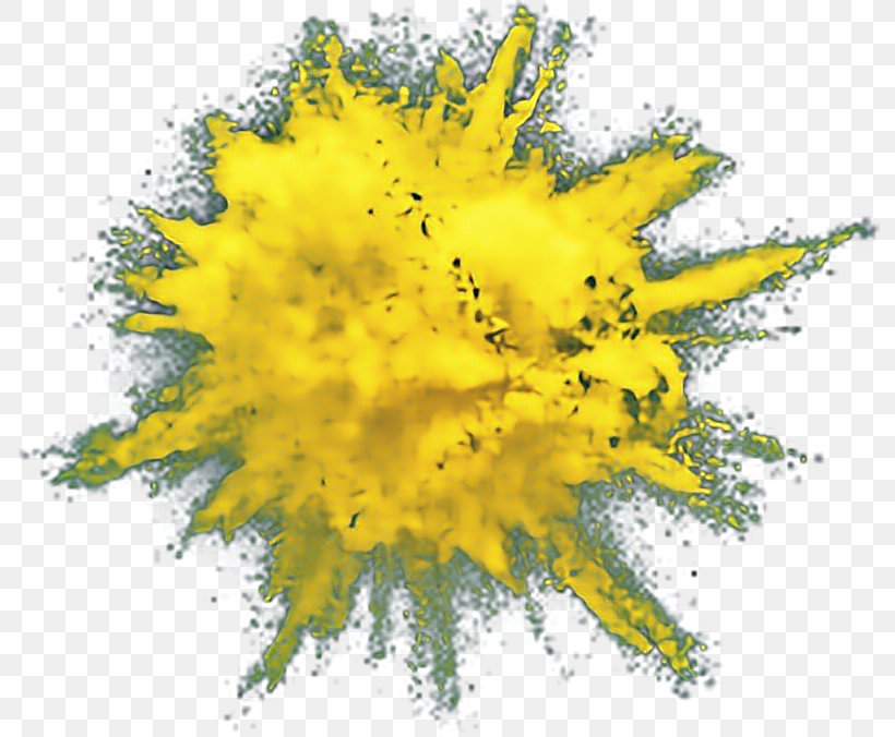 Desktop Wallpaper Drawing Explosion, PNG, 792x676px, Drawing, Computer, Dust Explosion, Explosion, Flora Download Free