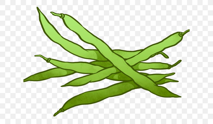 Green Bean Casserole Clip Art Common Bean, PNG, 640x480px, 15 Bean Soup, Green Bean Casserole, Bean, Coffee Bean, Commodity Download Free