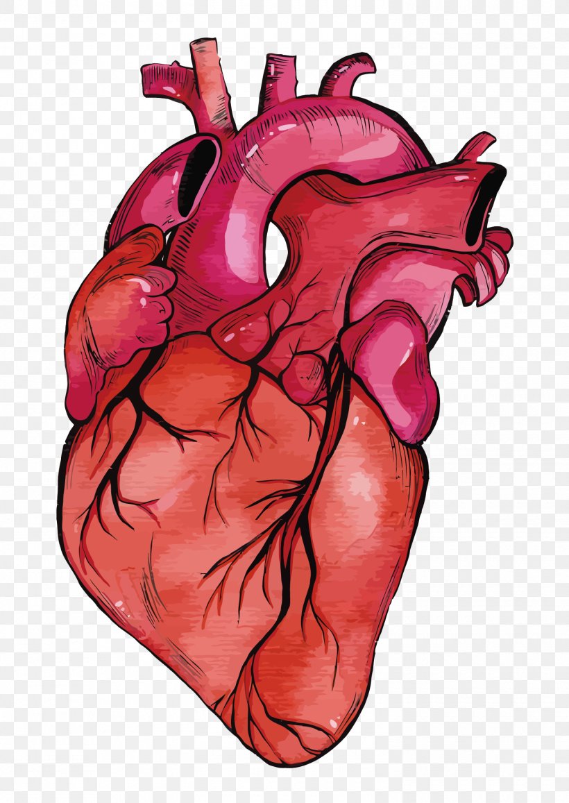 Heart Euclidean Vector, PNG, 1500x2118px, Watercolor, Cartoon, Flower, Frame, Heart Download Free