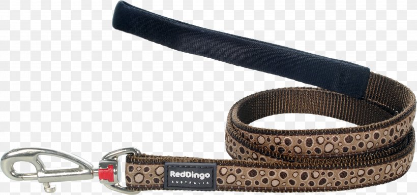 Leash Dog Dingo Belt, PNG, 3000x1411px, Leash, Belt, Color, Dingo, Dog Download Free