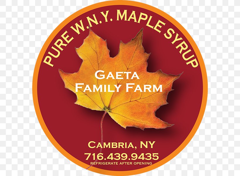 Maple Leaf Thanksgiving Font, PNG, 600x600px, Maple Leaf, Leaf, Maple, Thanksgiving, Tree Download Free
