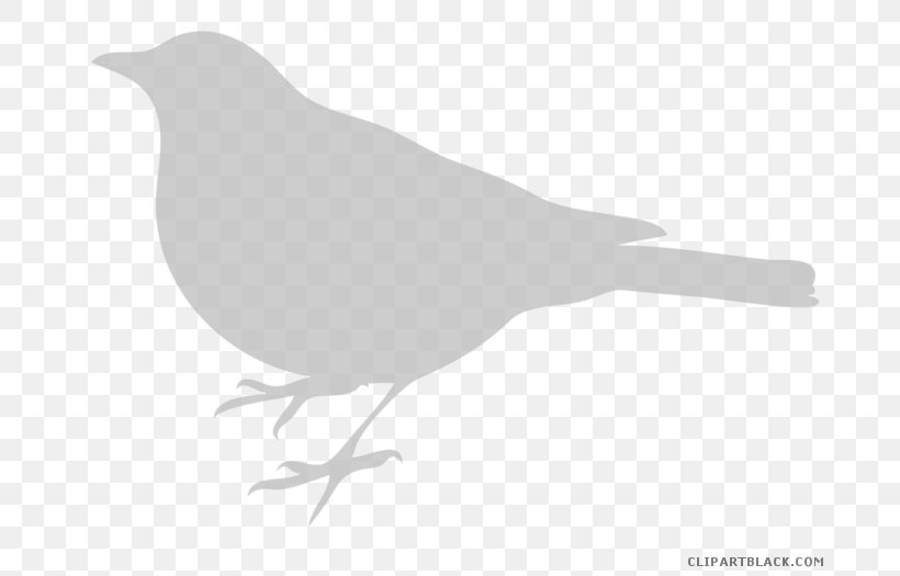 Bird Clip Art Silhouette Image, PNG, 700x525px, Bird, Beak, Birdcage, Black And White, Branch Download Free
