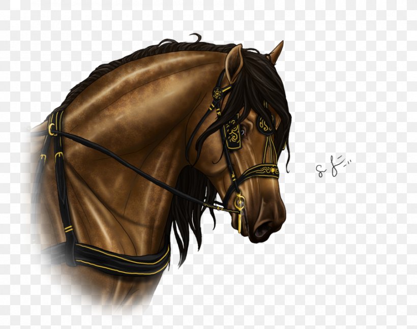 Bridle Mustang Stallion Halter Rein, PNG, 900x711px, Bridle, Halter, Horse, Horse Harness, Horse Harnesses Download Free