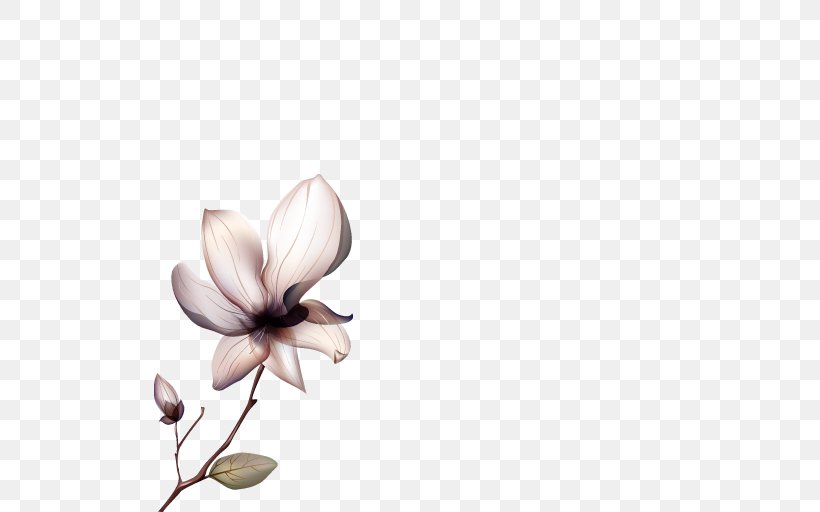 Clip Art Image Flower Illustration Photograph, PNG, 512x512px, Flower, Blossom, Branch, Floral Design, Flowering Plant Download Free