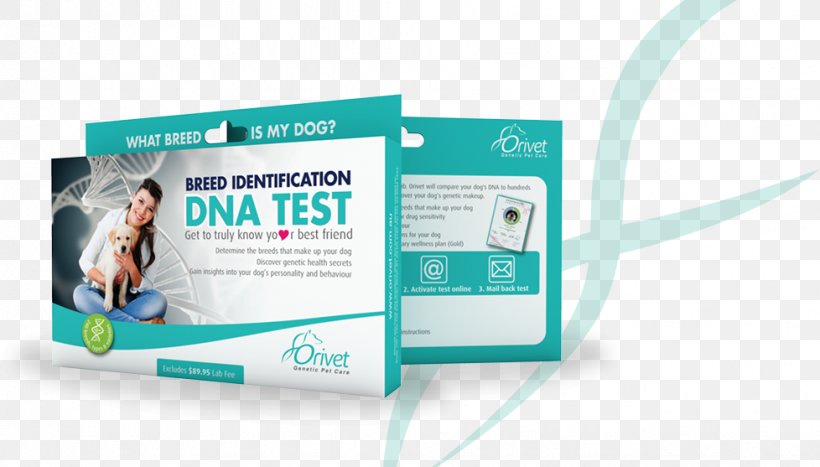 Dog Breed Genetic Testing Genealogical DNA Test, PNG, 978x557px, Dog, Advertising, Ancestrycom Inc, Brand, Breed Download Free
