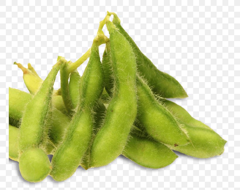 Edamame Soy Milk Milk Substitute Bean, PNG, 760x648px, Edamame, Appetizer, Bean, Commodity, Dish Download Free