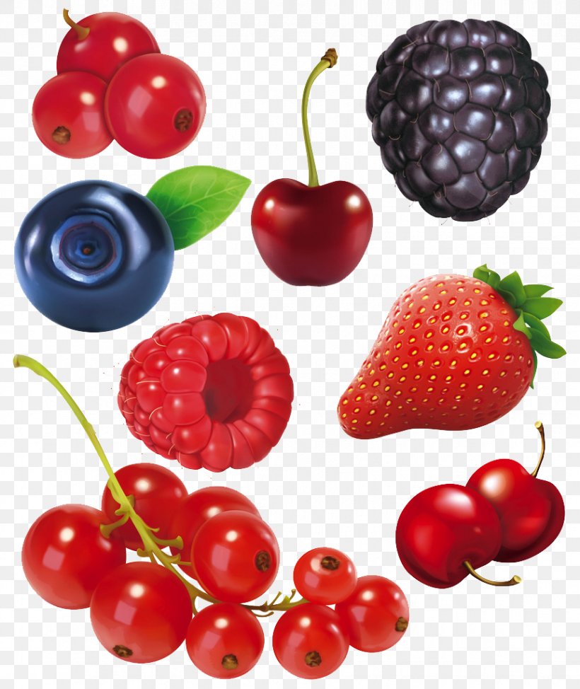 Frutti Di Bosco Fruit Blackberry, PNG, 862x1024px, Berry, Auglis, Blackberry, Blackcurrant, Cherry Download Free