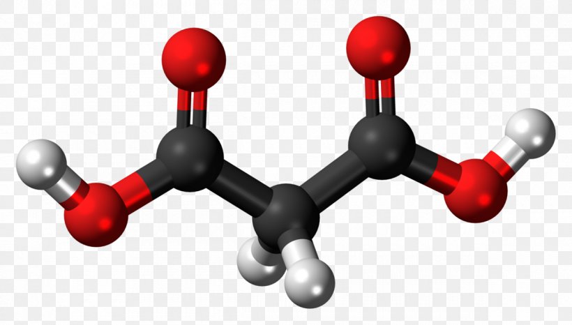 Malonic Acid Dicarboxylic Acid Diethyl Malonate, PNG, 1200x682px, Malonic Acid, Acetoacetic Acid, Acid, Barbituric Acid, Carboxylic Acid Download Free