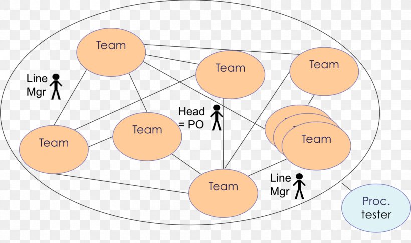 Organization Scrum Research Computer Network BMW, PNG, 1213x720px, Organization, Anatomy, Area, Bmw, Case Study Download Free