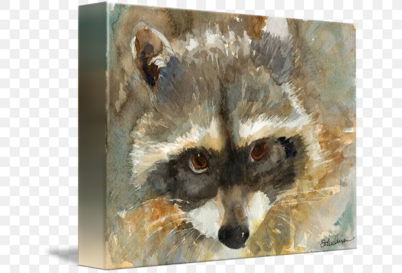 Raccoon Red Fox Painting Whiskers, PNG, 650x557px, Raccoon, Carnivora, Carnivoran, Fauna, Fox Download Free