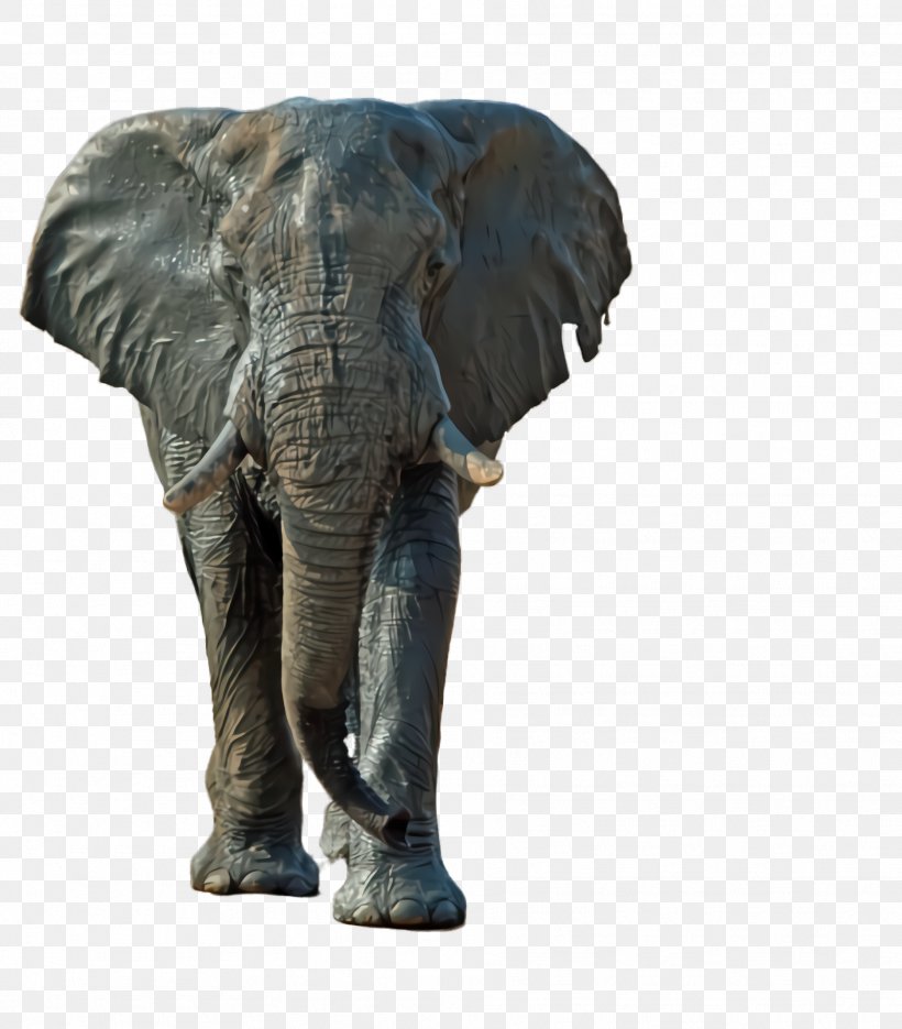 Indian Elephant, PNG, 1872x2136px, Elephant, African Elephant, Animal Figure, Elephants And Mammoths, Indian Elephant Download Free