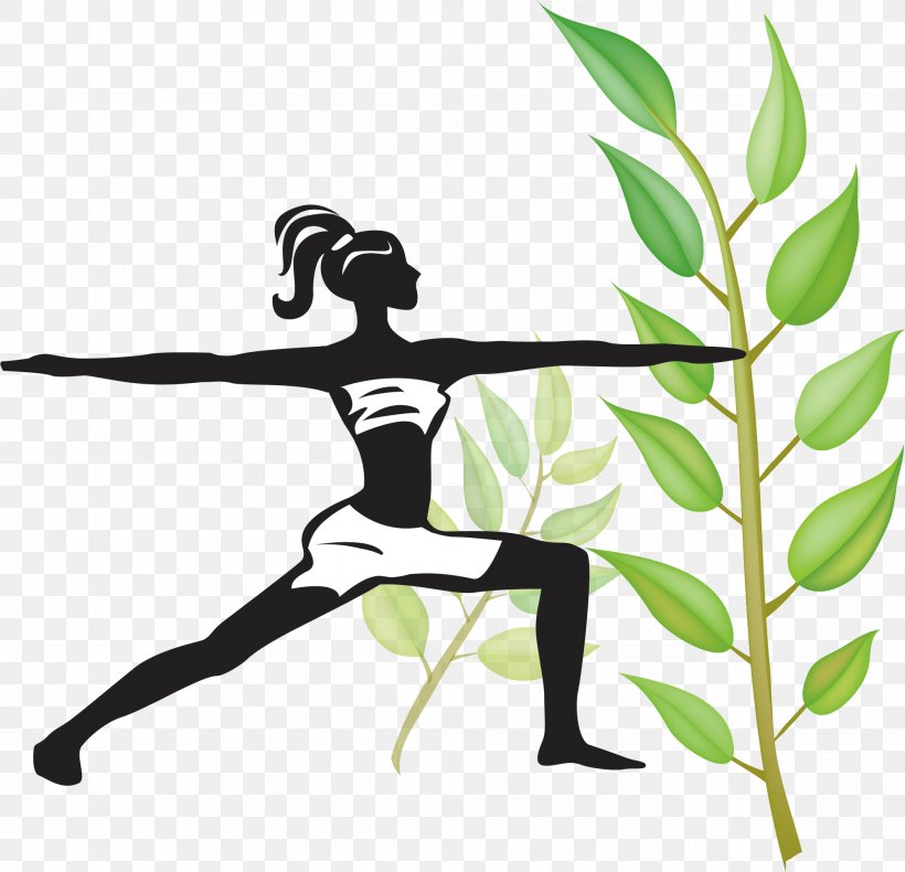 Yoga Physical Exercise Asana Physical Fitness, PNG, 1989x1917px, Yoga, Asana, Branch, Human Behavior, Meditation Download Free