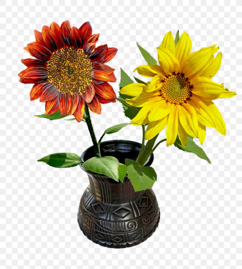 Common Sunflower Vase Sunflower Seed Flowerpot, PNG, 800x912px, Common Sunflower, Artificial Flower, Blume, Cut Flowers, Daisy Family Download Free