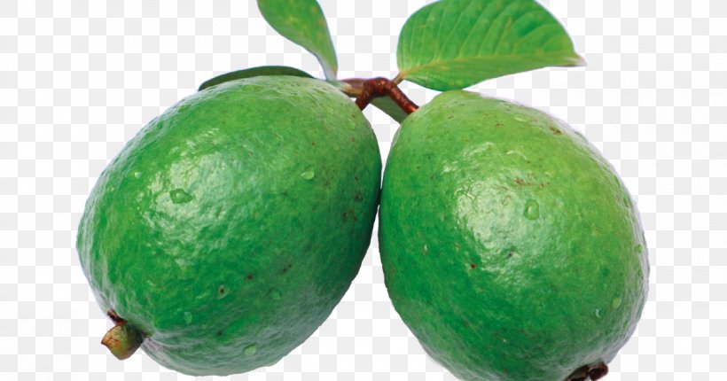 Juice Common Guava Feijoa Fruit, PNG, 1200x630px, Juice, Avocado, Berry, Common Guava, Feijoa Download Free