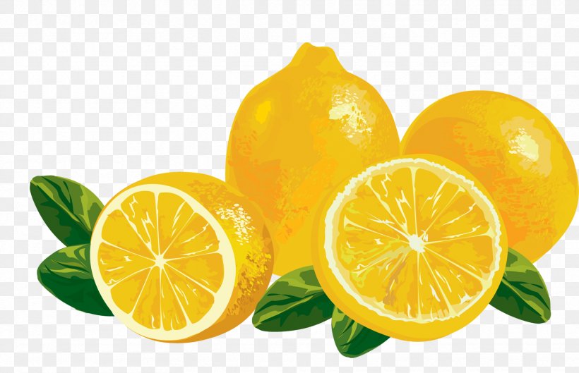 Lemon Clip Art Vector Graphics Juice, PNG, 1716x1109px, Lemon, Bitter Orange, Citric Acid, Citron, Citrus Download Free