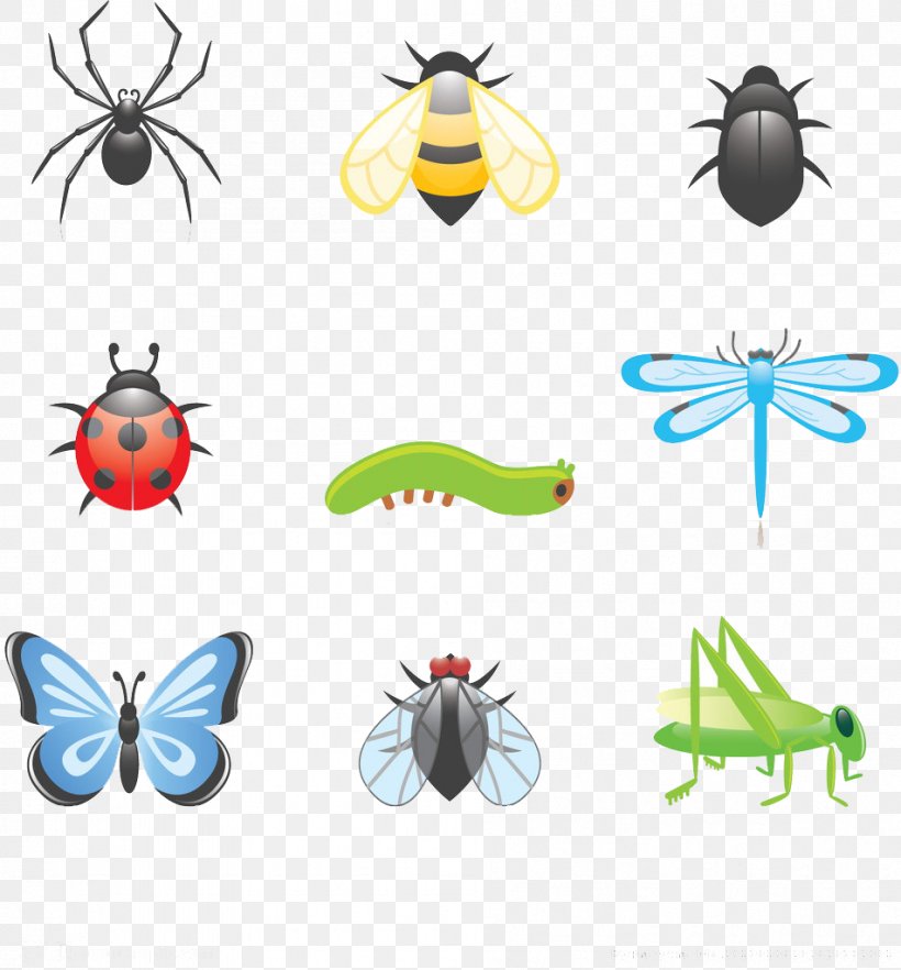 Beetle Cartoon Clip Art, PNG, 951x1024px, Beetle, Artwork, Cartoon, Cricket, Free Content Download Free