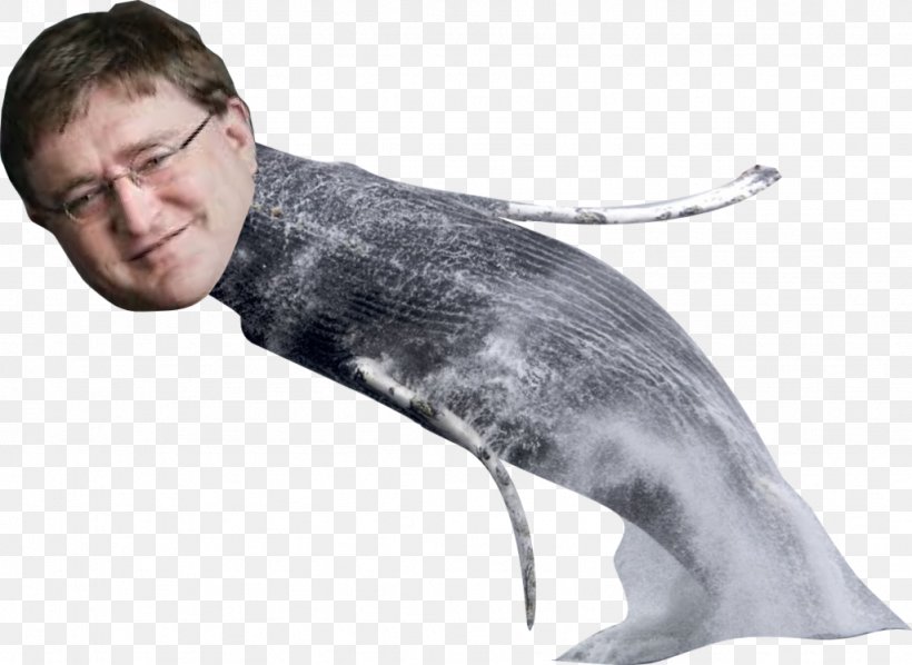 Gabe Newell Half-Life 2: Episode Three Cetacea Minecraft Digital Art, PNG, 1024x748px, Watercolor, Cartoon, Flower, Frame, Heart Download Free