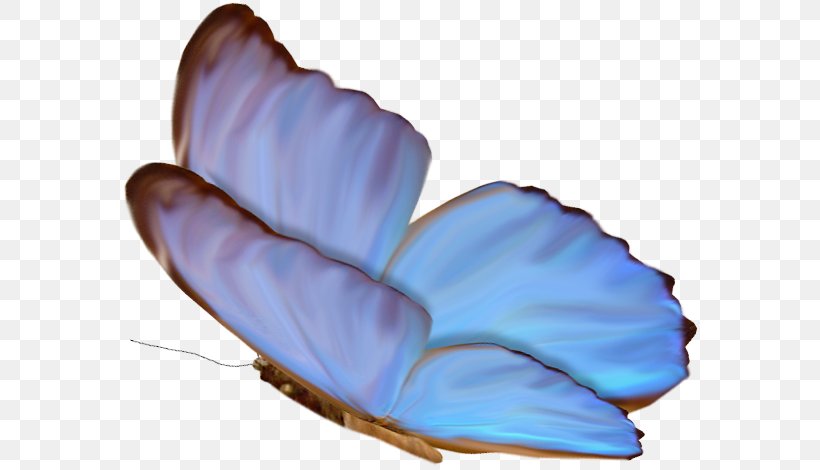 M. Butterfly Purple, PNG, 576x470px, M Butterfly, Blue, Butterfly, Feather, Flower Download Free