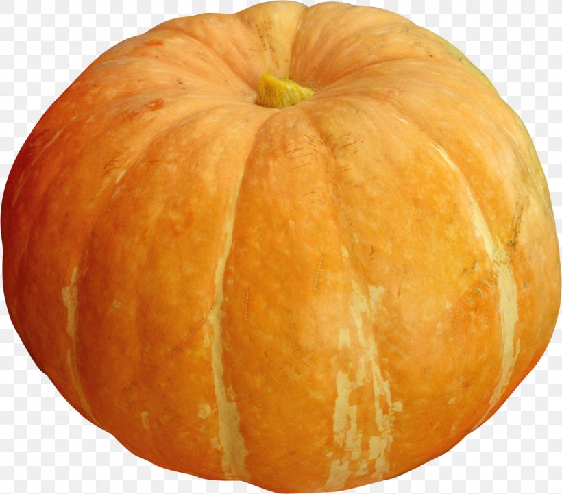 Pumpkin Gourd Winter Squash Vegetarian Cuisine Patty Pan, PNG, 1600x1407px, Pumpkin, Calabaza, Commodity, Cucumber Gourd And Melon Family, Cucurbita Download Free
