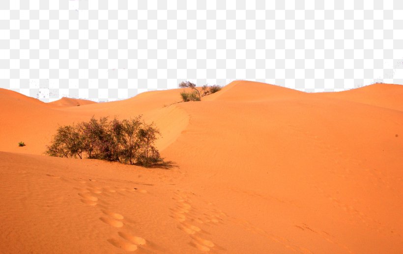 Sahara Erg Desert Plants Singing Sand, PNG, 1024x645px, Sahara, Aeolian Landform, Desert, Desert Plants, Dune Download Free