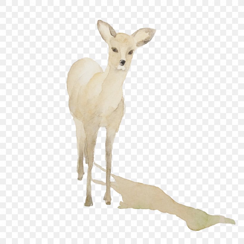 White-tailed Deer Japan, PNG, 932x932px, Deer, Antelope, Antler, Cartoon, Fauna Download Free