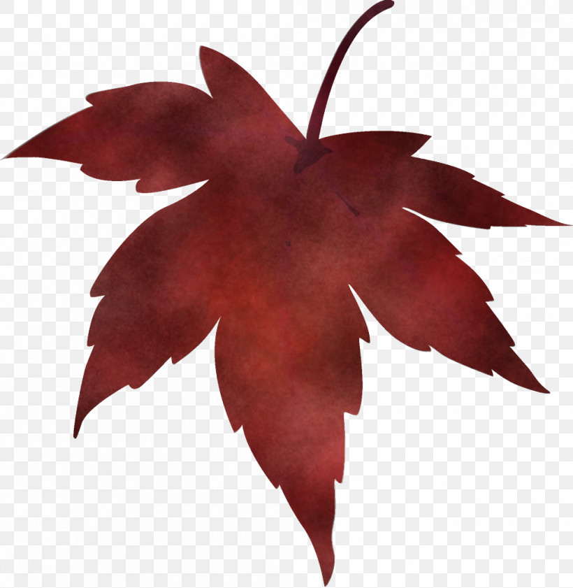 Maple Leaf Fallen Leaf Dead Leaf, PNG, 1000x1026px, Maple Leaf, Autumn Leaf, Black Maple, Dead Leaf, Deciduous Download Free