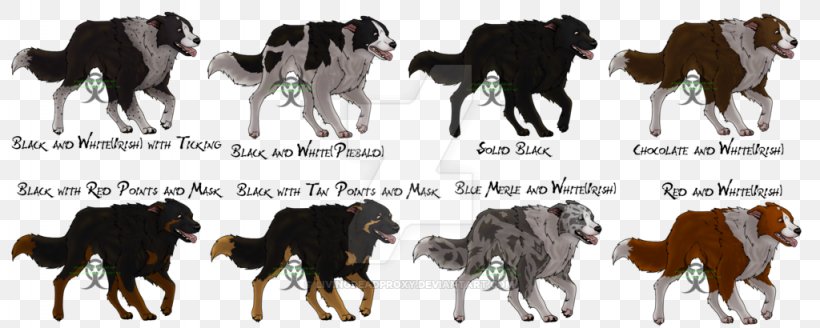 The Border Collie Rough Collie German Shepherd, PNG, 1024x410px, Border Collie, Camel Like Mammal, Cat, Collie, Color Download Free