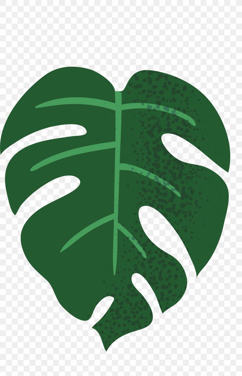 Leaf Green M-tree Font Meter, PNG, 1928x3000px, Leaf, Biology, Green, Meter, Mtree Download Free