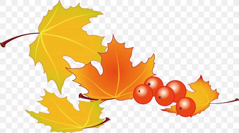 Leaf, PNG, 3439x1909px, Leaf, Artworks, Autumn, Computer Graphics, Drawing Download Free