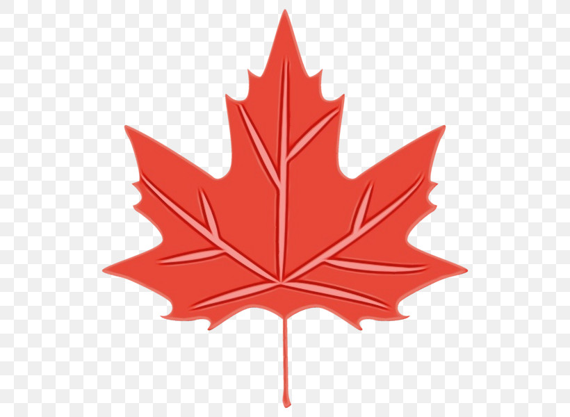 Maple Leaf, PNG, 600x600px, Watercolor, Color, Drawing, Flag Of Canada, Leaf Download Free