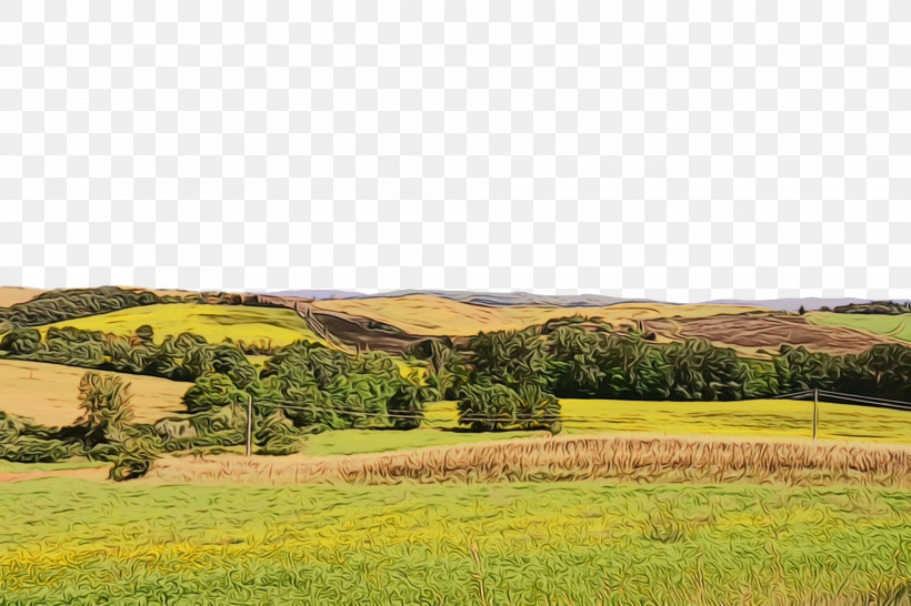 Rural Area Landscape Grasses Grassland Farm, PNG, 1920x1280px, Watercolor, Farm, Grasses, Grassland, Landscape Download Free